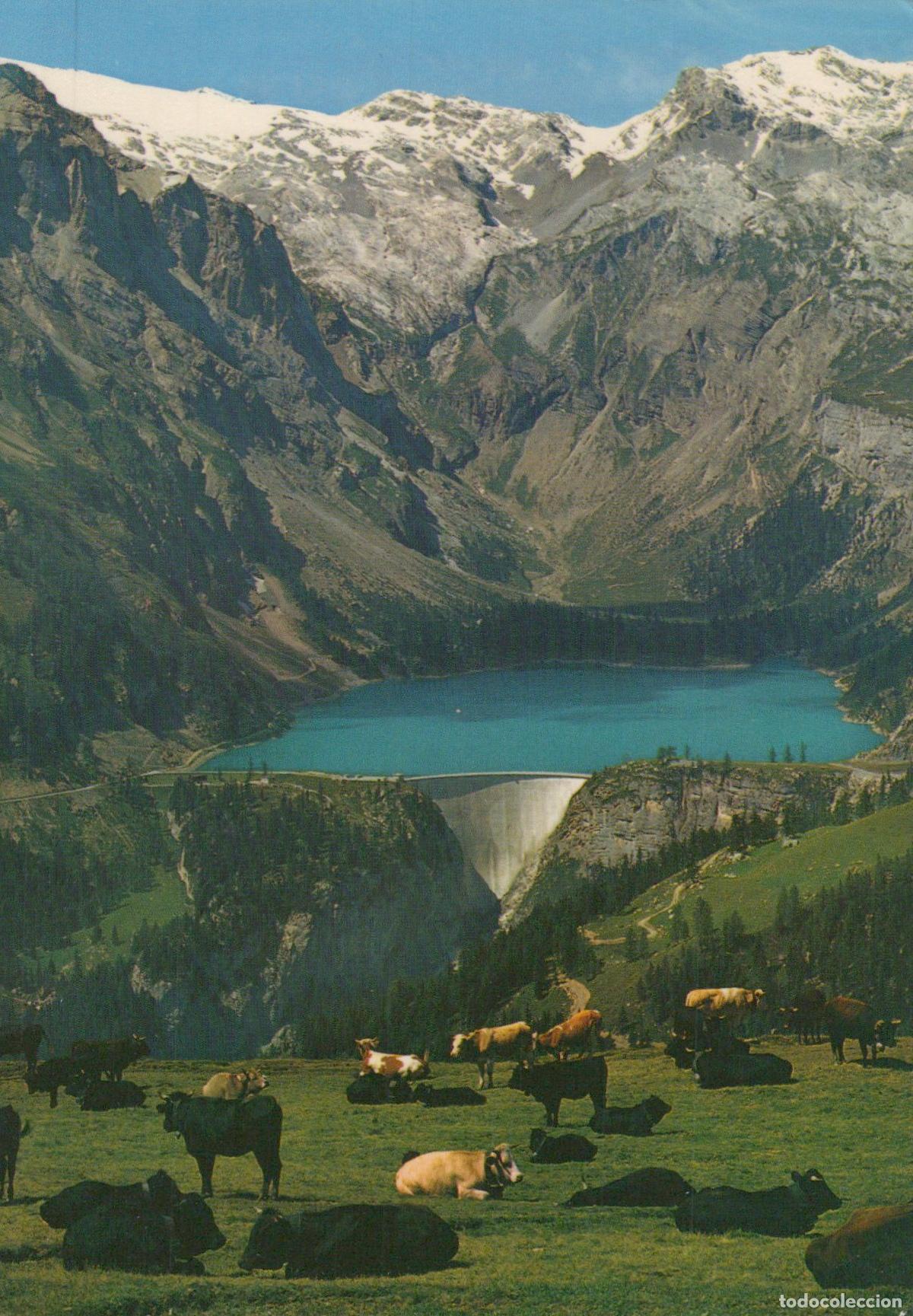 Postkarten: Switzerland Crans Montana sur Sierre Lake Vermala Dam Cows Mountains *YAR144