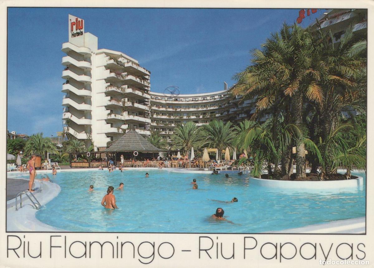 Postcards: Spain Playa del Ingl&eacute;s Riu Flamingo Papayas Hotels Swimming Pool Palm *YAR278