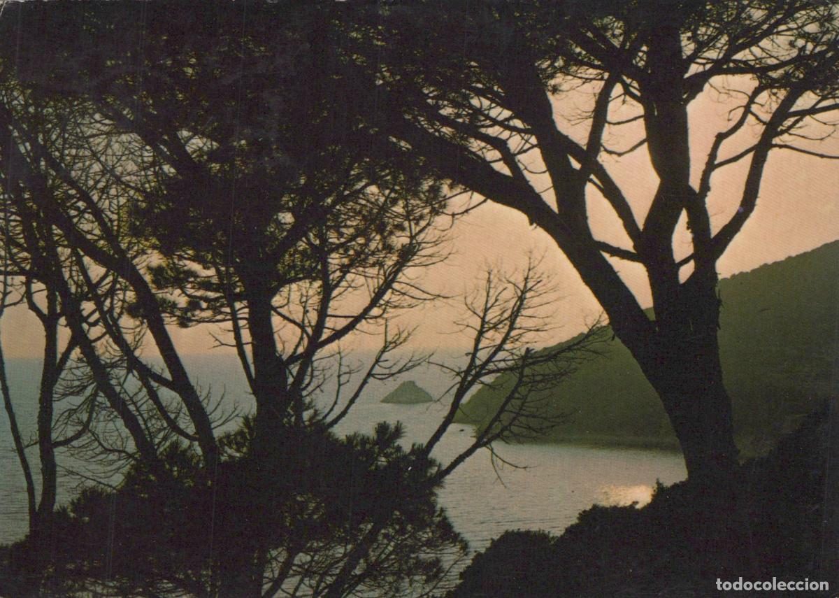 Postkarten: Italy Elba Island L Enfola Coastal Landscape With Trees and Sea *YAR437