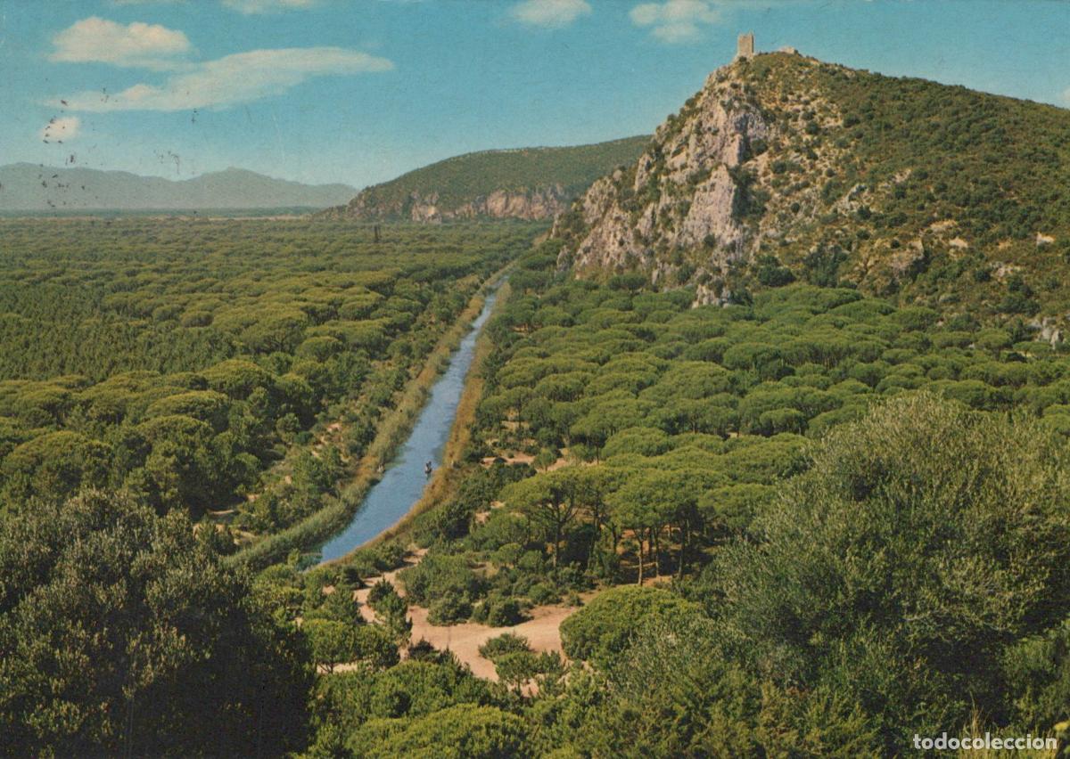 Postkarten: Italy Maremma Natural Park Uccellina Panorama River Forest Tower *YAR440