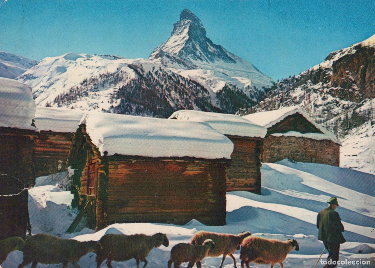 Postkarten: Switzerland Zermatt Shepherd With Sheep and Wooden Huts Matterhorn *YAR512