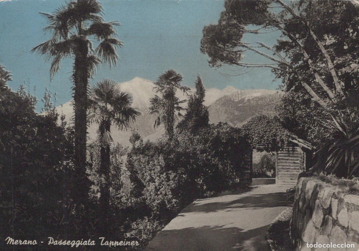 Postales: Italy Merano Tappeiner Promenade With Palm Trees and Snow Capped *YAR535