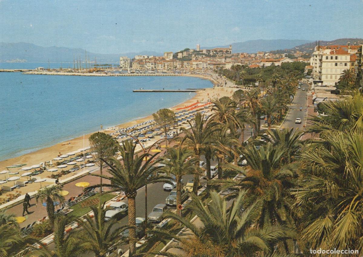 Postales: France Cannes La Croisette and le Suquet Beach Promenade Palm Trees *YAR601