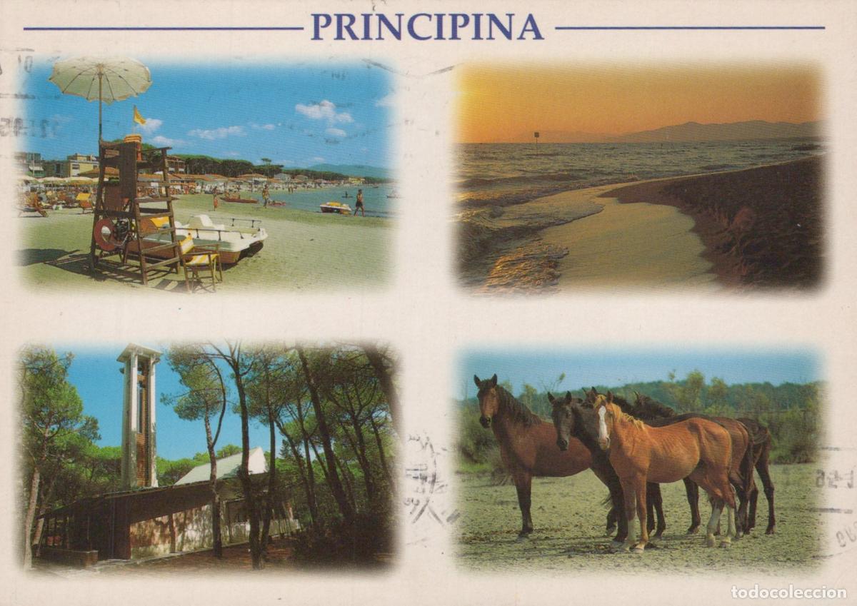 Postales: Italy Principina A Mare Beach Sunset Forest and Horses Multi View *YAR606
