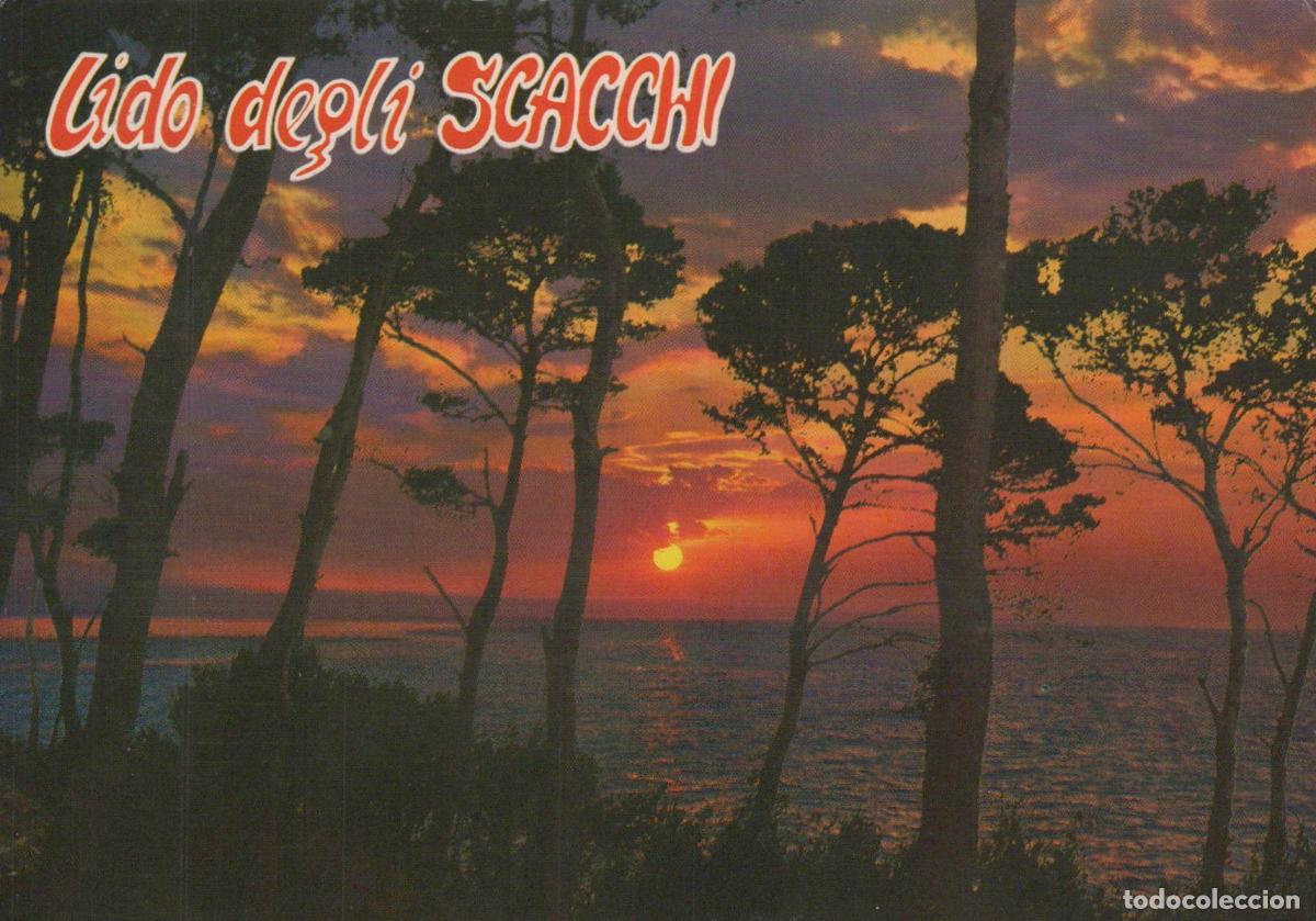 Postcards: Italy Lido Degli Scacchi Sunset Over Adriatic Sea Pine Trees Beach *YAR873
