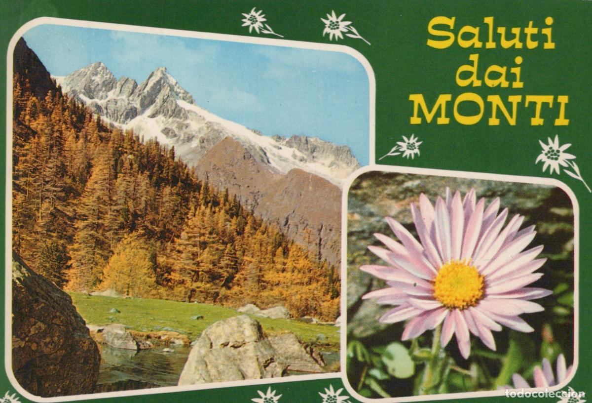 Cartes Postales: Italy Mountains Autumn Forest Stream Pink Flower Saluti Dai Monti *YAS003