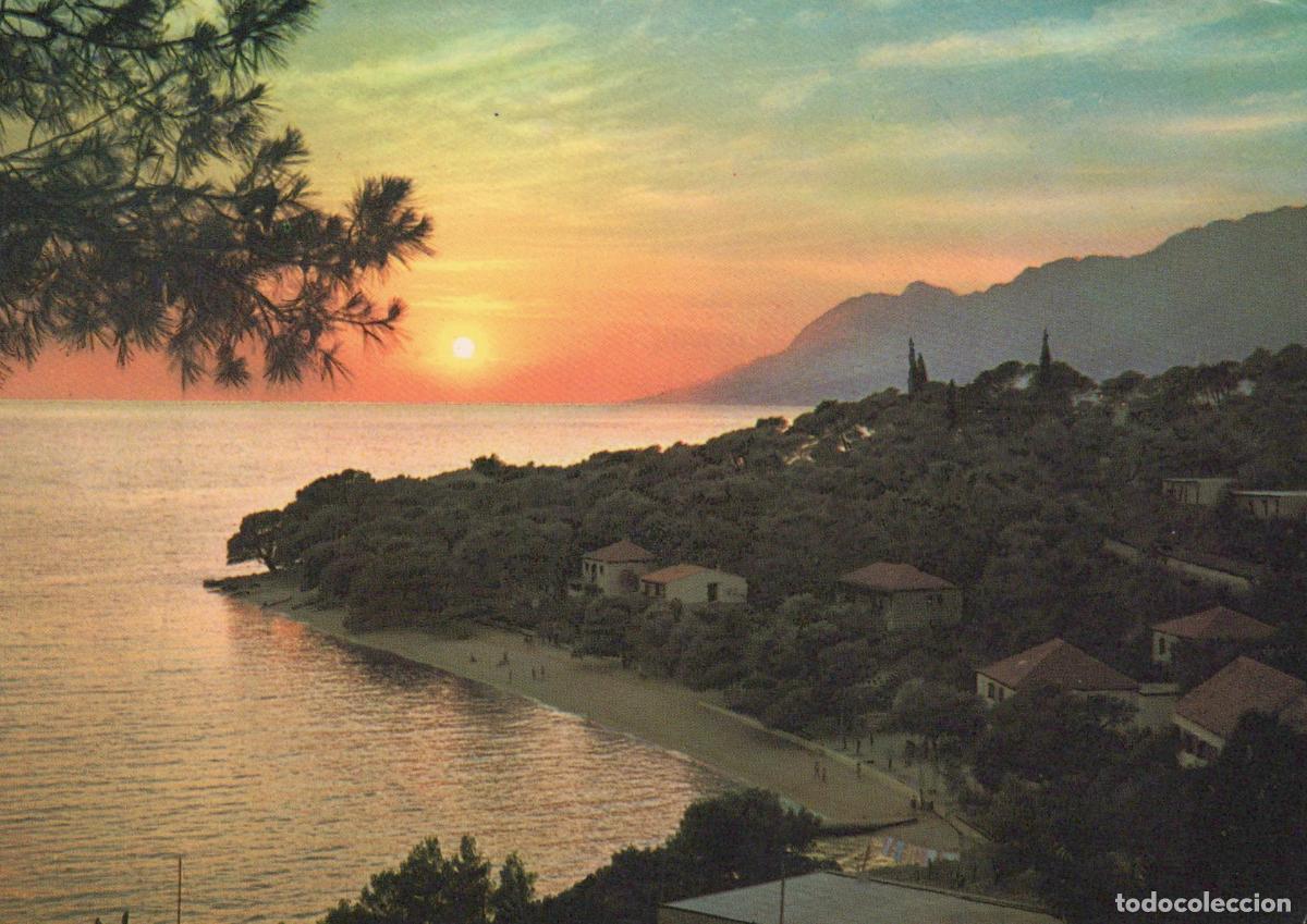 Postcards: Croatia Brela Sunset Over Adriatic Sea Beachfront Houses Pine Tree *YAS147