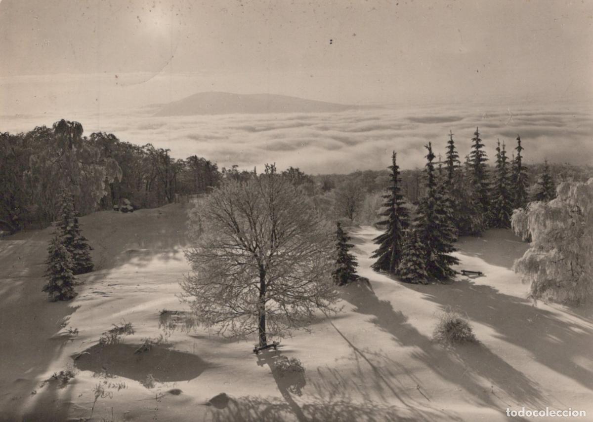Postales: Germany Winter Landscape Snow Covered Trees and Foggy Valley View *YAS317