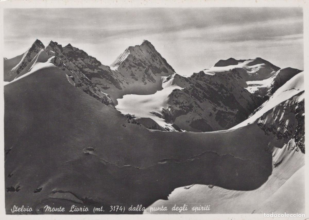 Postales: Italy Bormio Stelvio Monte Livrio Mt 3174 Dalla Real Photo Unposted *YAS330