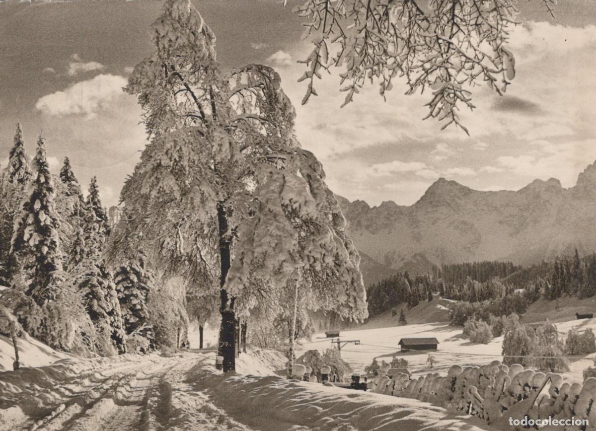 Postales: Germany Garmisch Partenkirchen Winter Landscape Snowy Road Trees *YAS187
