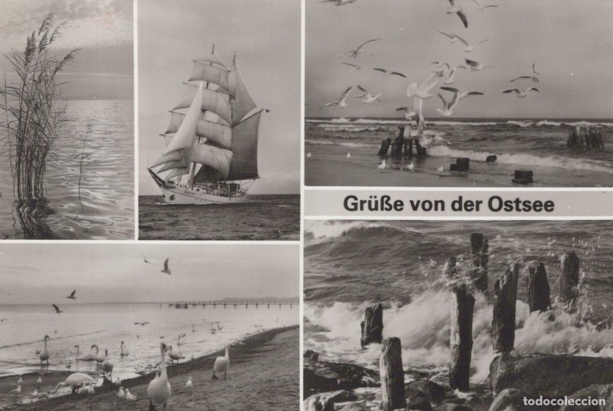 Postales: Germany Reichenbach German Collage With Sailing Ship Swans Reeds *YAS287