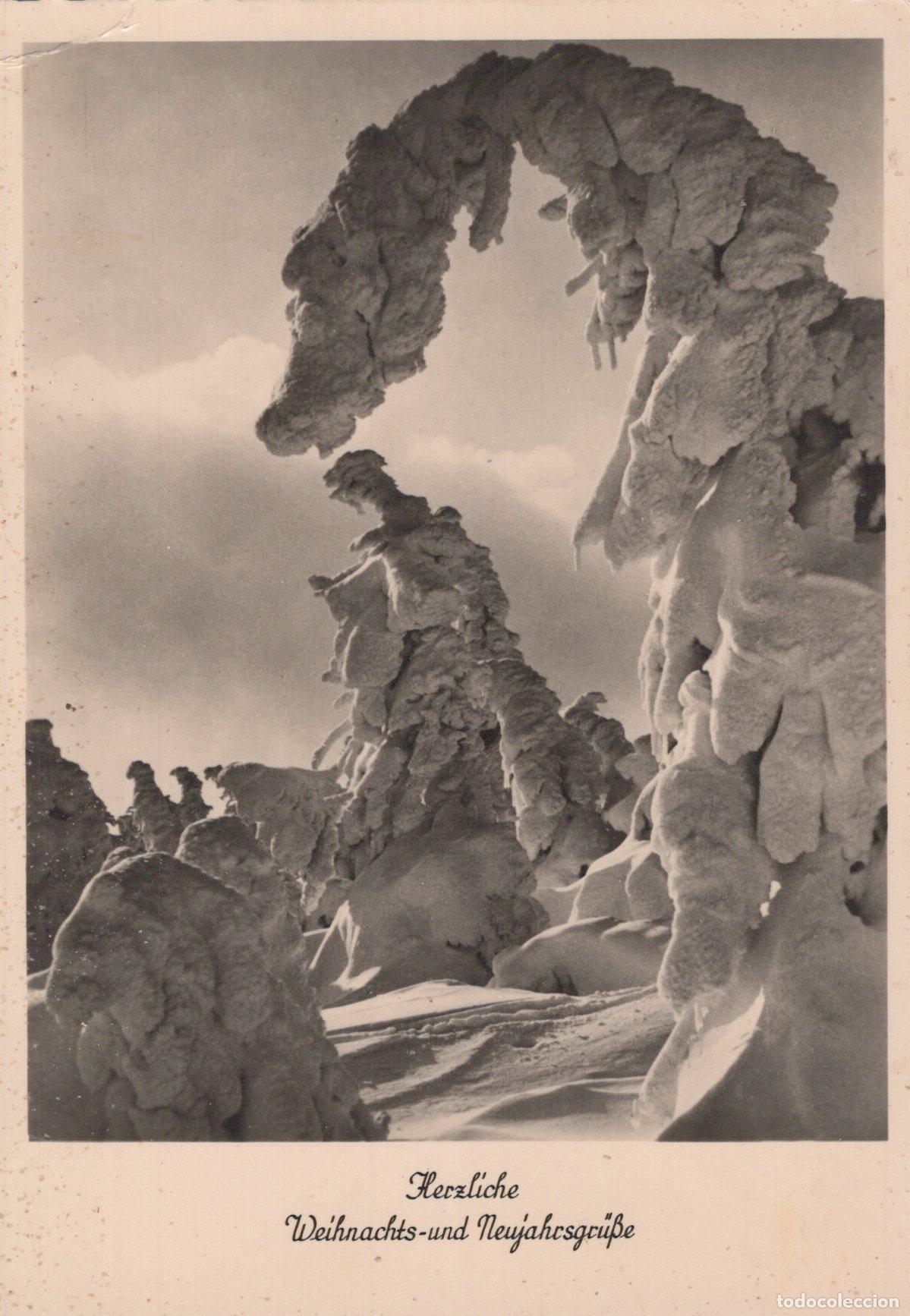 Postcards: Germany Reichenbach IM Vogtland Winter Wonderland Snow Covered Trees *YAS410