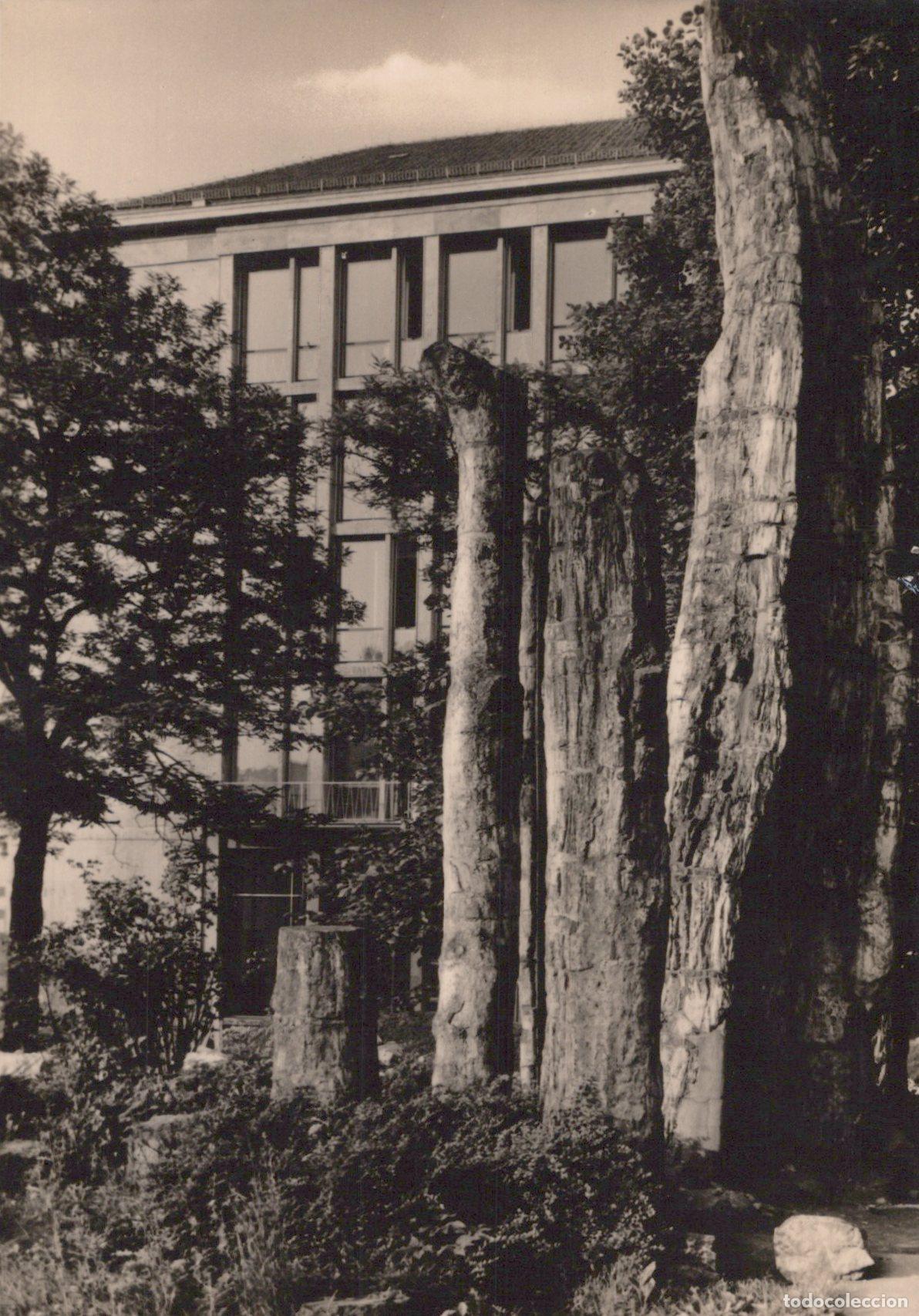 Postcards: Germany Chemnitz Karl Marx Stadt Petrified Forest Museum Building *YAS402