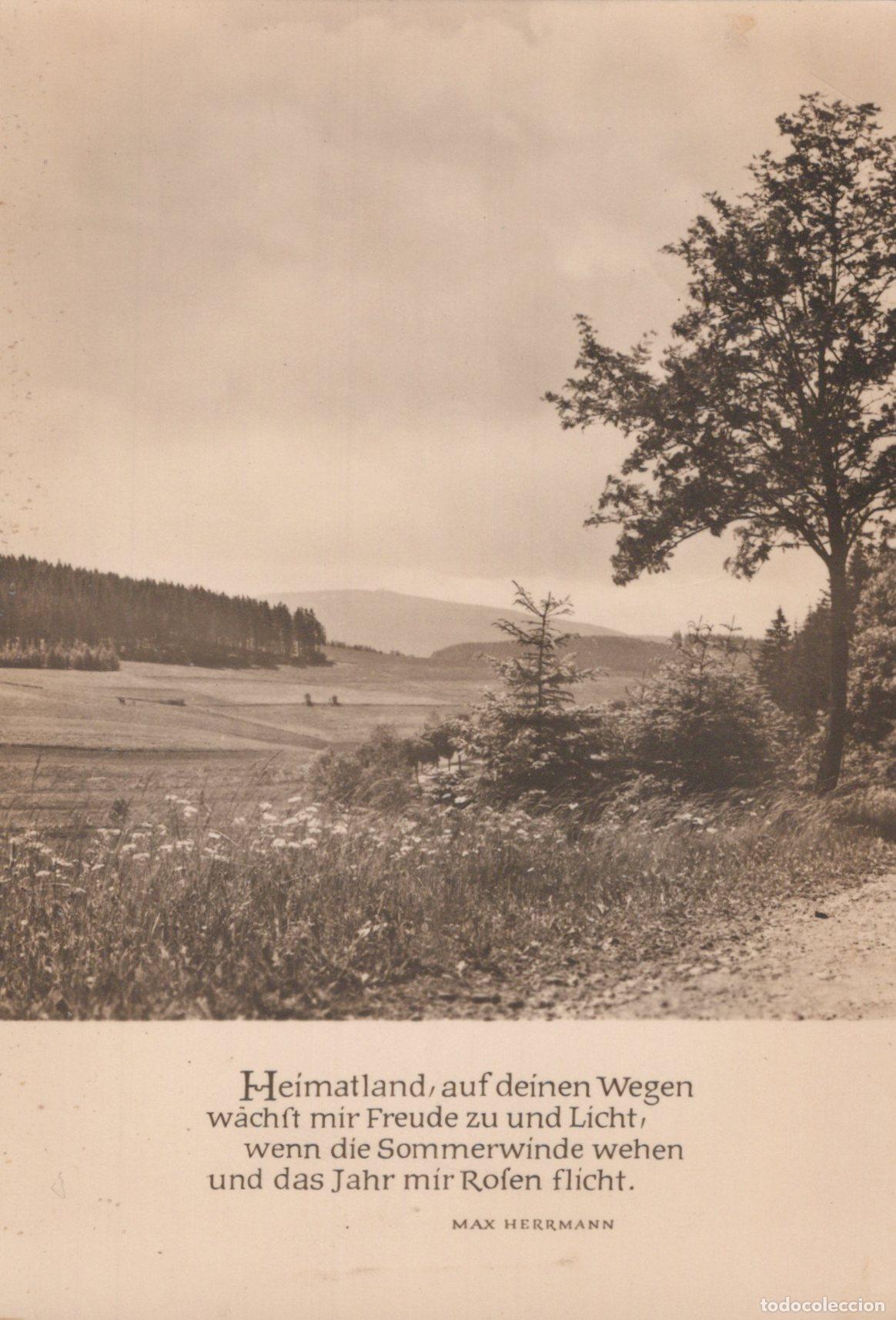 Postkarten: Germany Ebersbach Heimatland Auf Deinen Wegen W&auml;chst Real Photo Unposted *YAS412