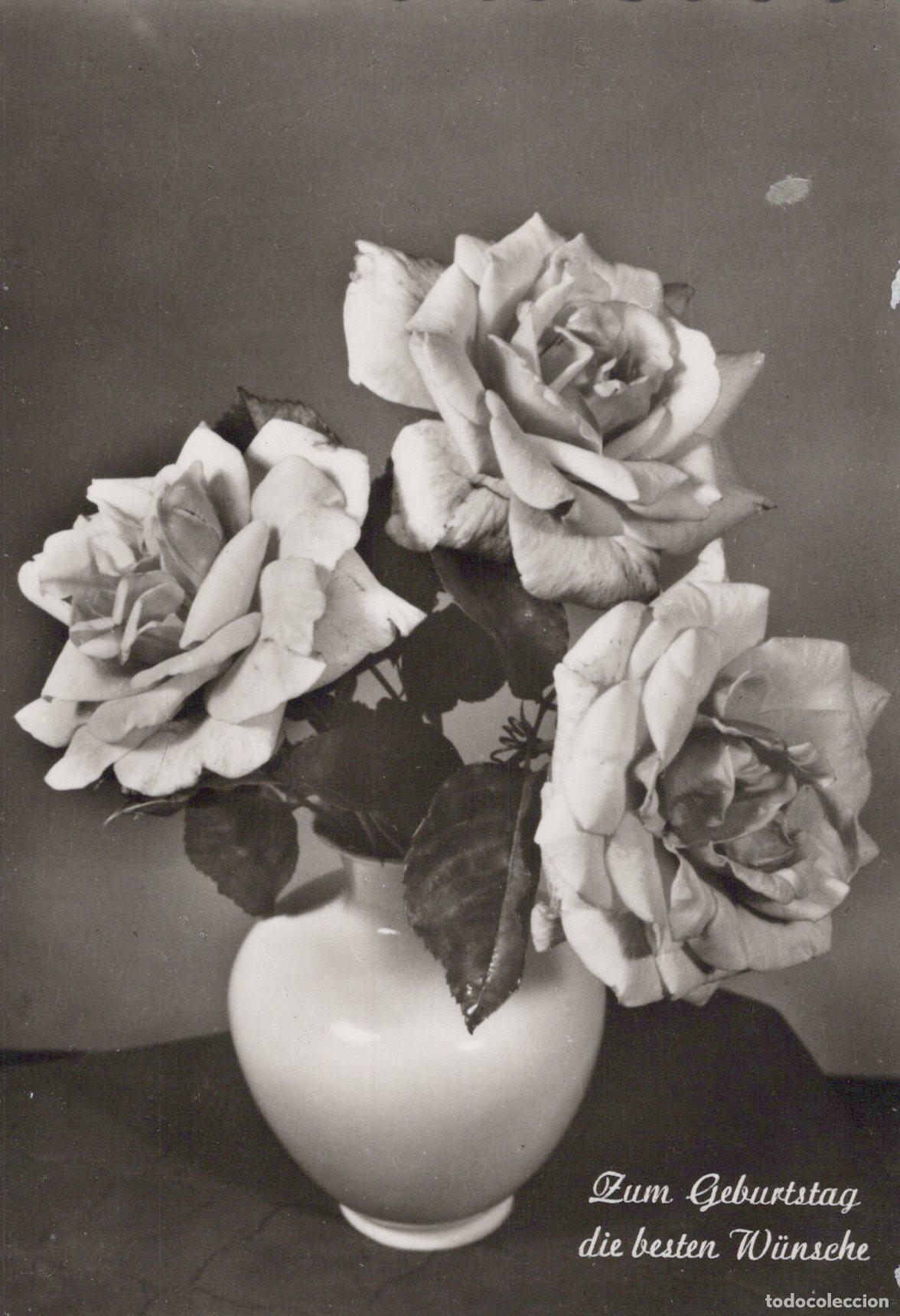 Postkarten: Germany Berlin Roses in Vase Birthday Greetings Black White Real Photo *YAS343