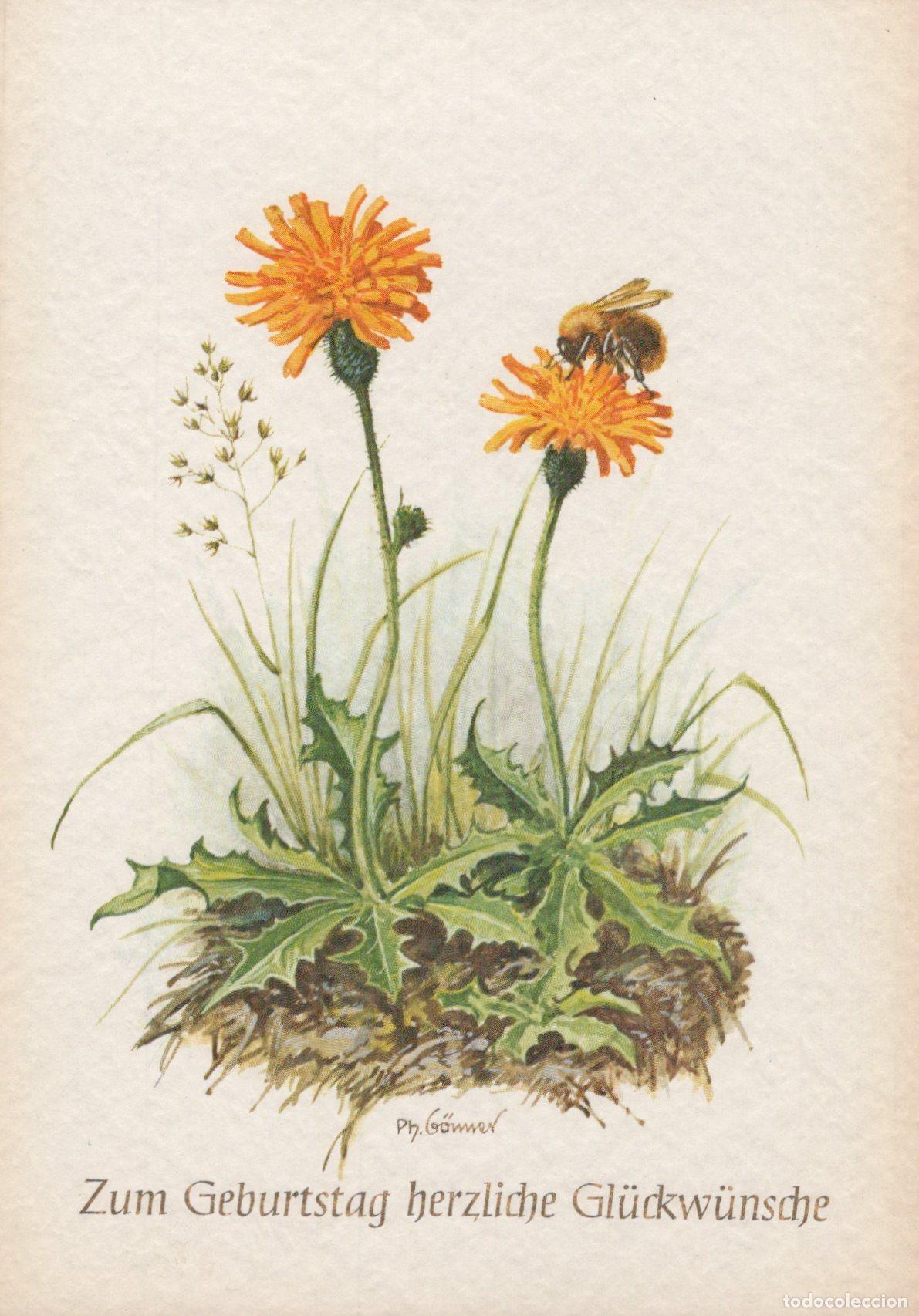 Postkarten: Birthday Wishes With Orange Flowers and Bee Unposted *YAS442
