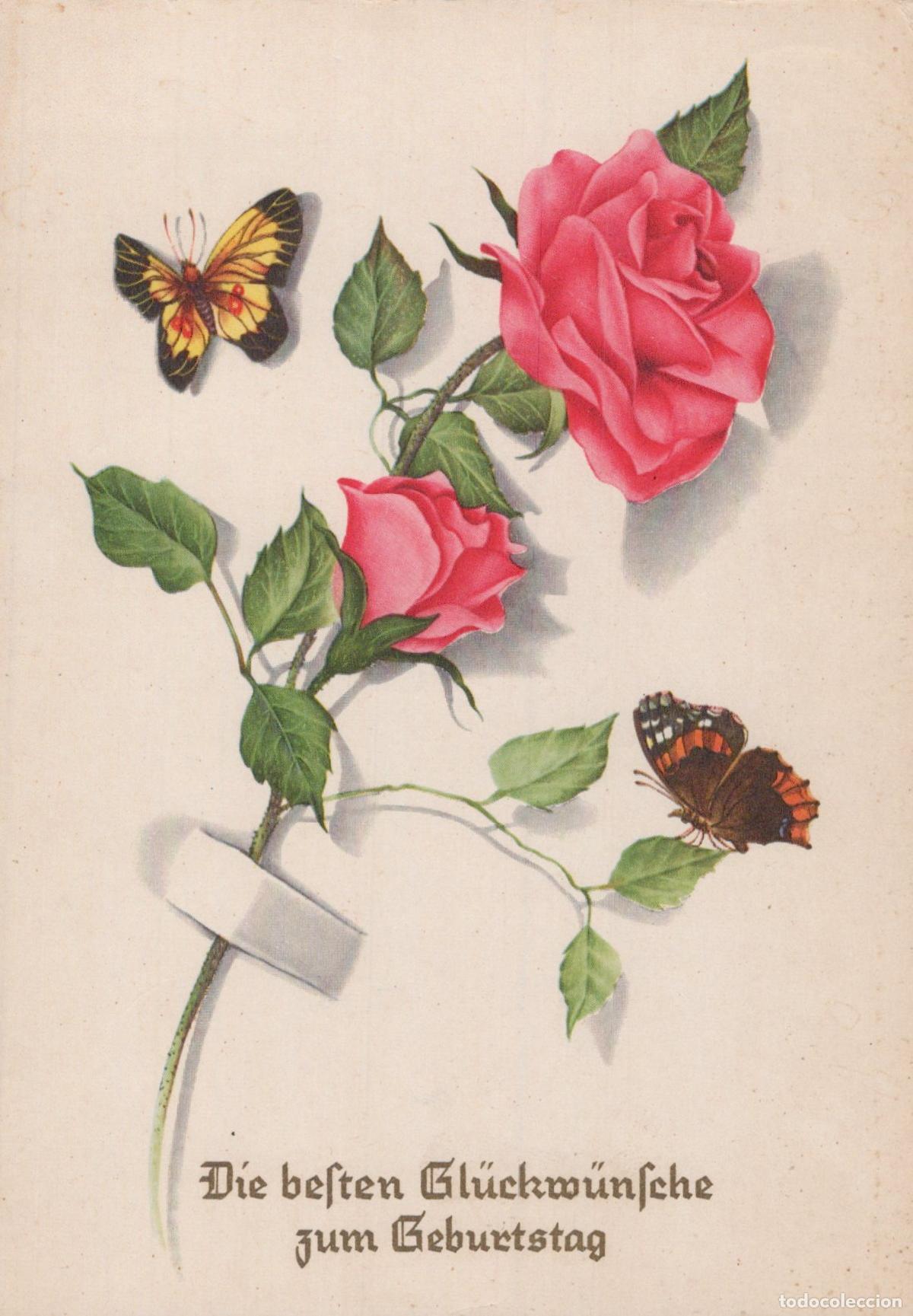 Postkarten: Germany Stuttgart Happy Birthday Roses Butterflies German Greeting Card *YAS460