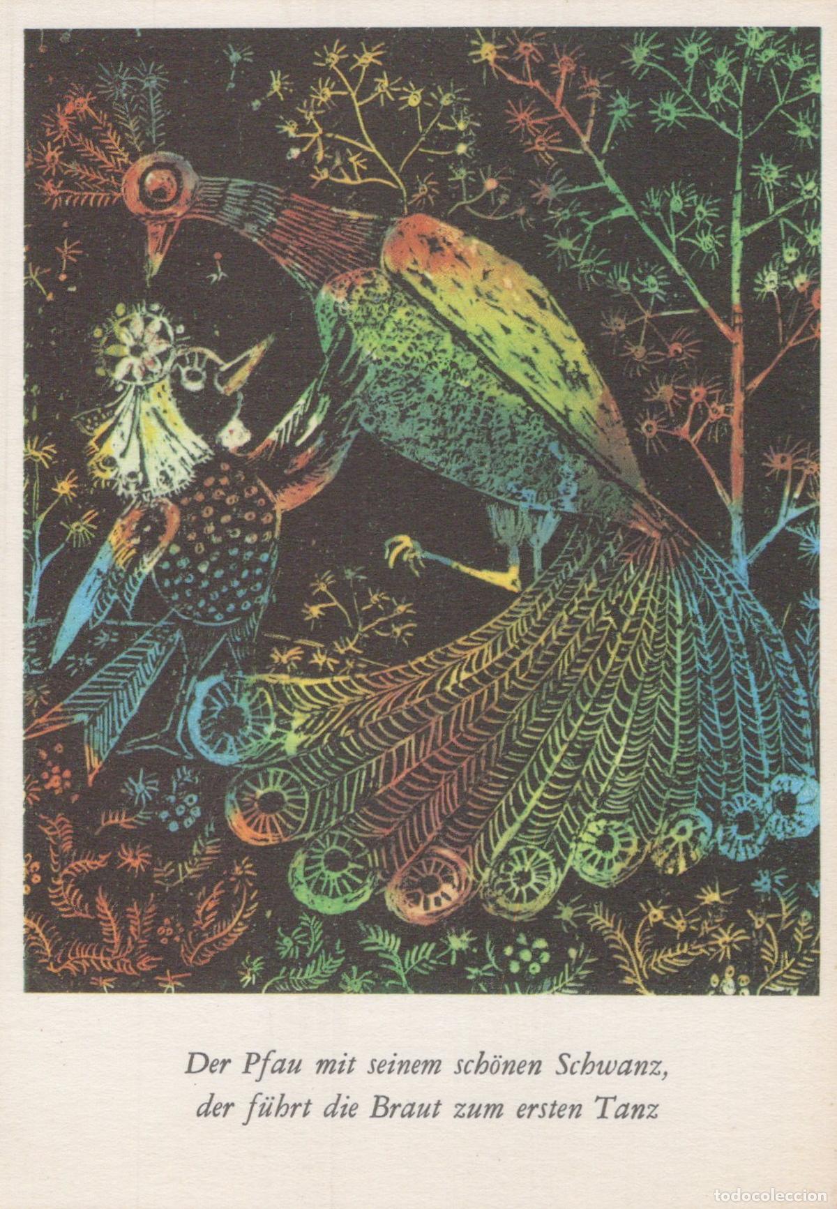Postkarten: Germany Reichenbach IM Vogtland Peacock With Beautiful Tail Unposted *YAS447