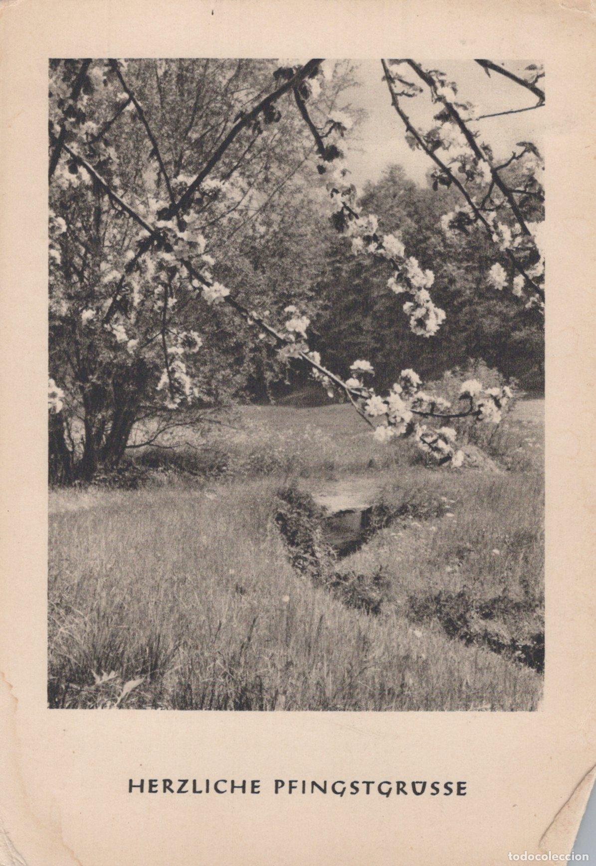 Postcards: Germany Spring Landscape Blooming Trees Stream Meadow Greetings *YAS363
