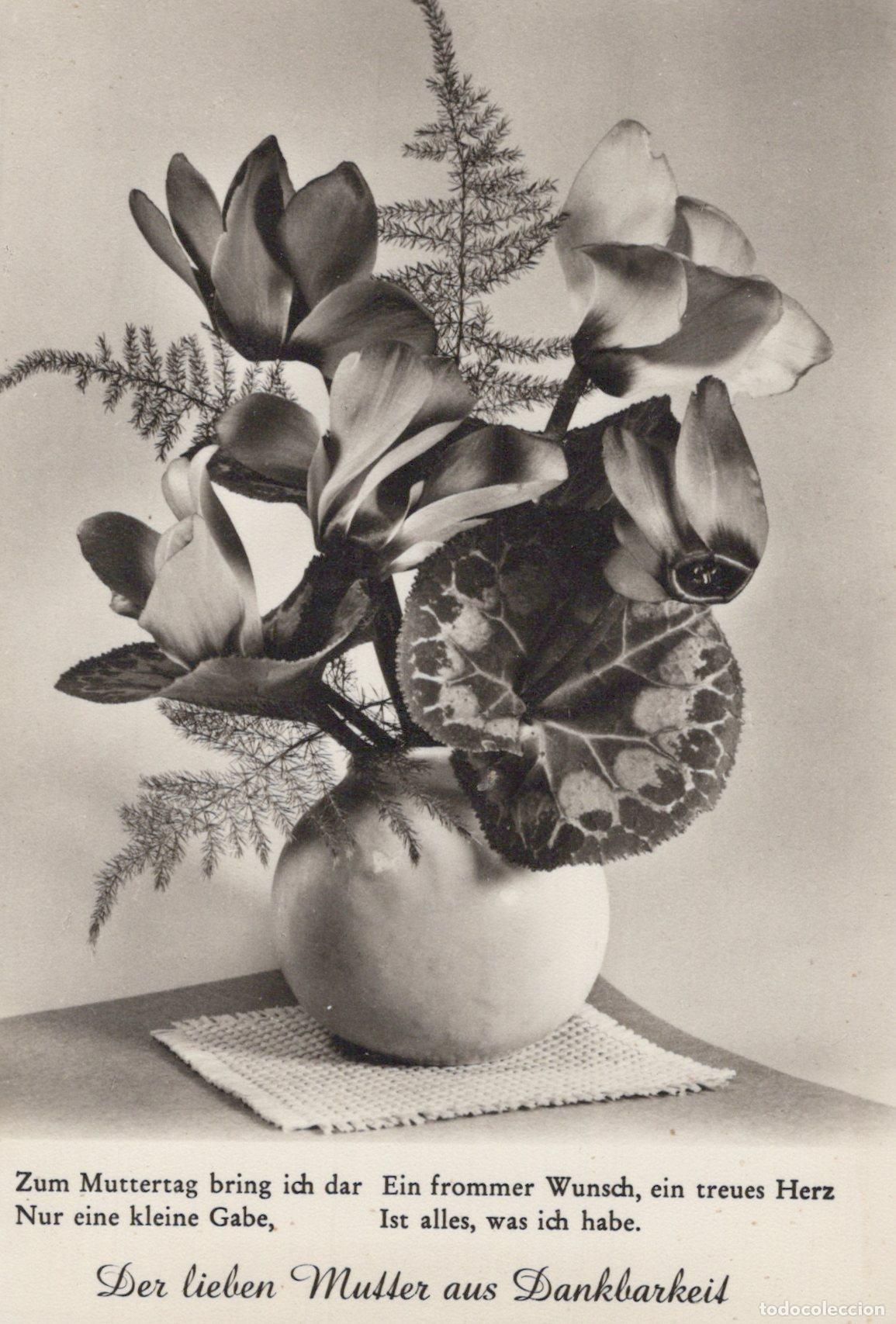 Cartoline: Cyclamen Flowers in Vase Mother S Day Greeting Card Unposted *YAS378