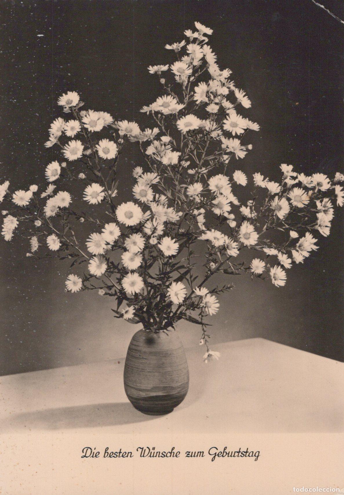 Cartes Postales: Germany Berlin Birthday Flowers Vase Still Life 1950s *YAS388