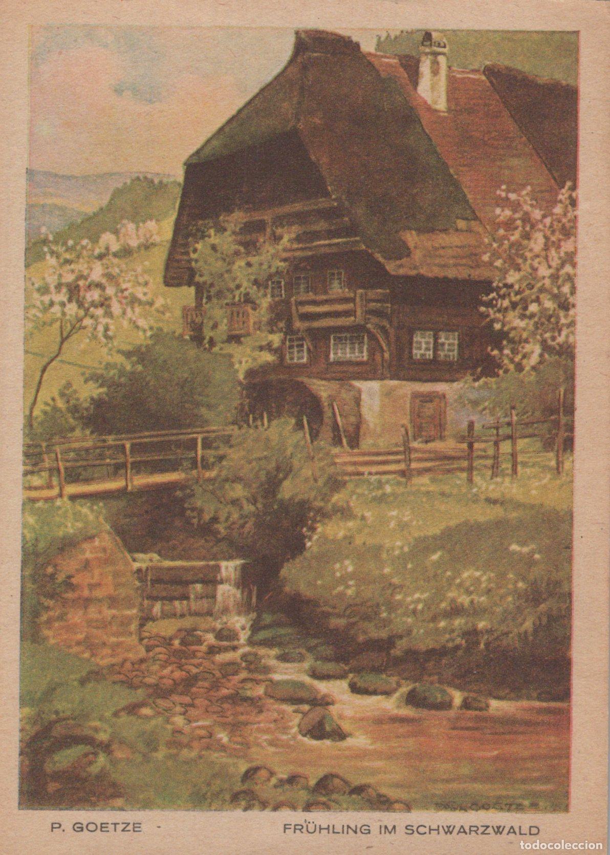 Postales: Germany Black Forest Spring Landscape With Traditional Thatched Unposted *YAS520