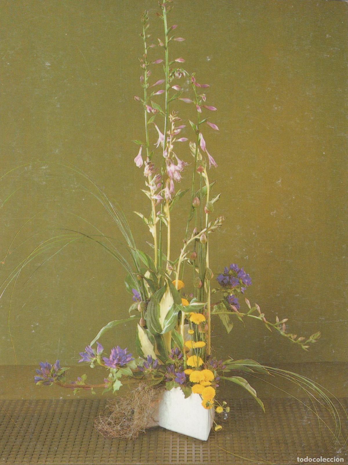 Postcards: Campanula Funkien und Allium Floral Arrangement Unposted *YAS525