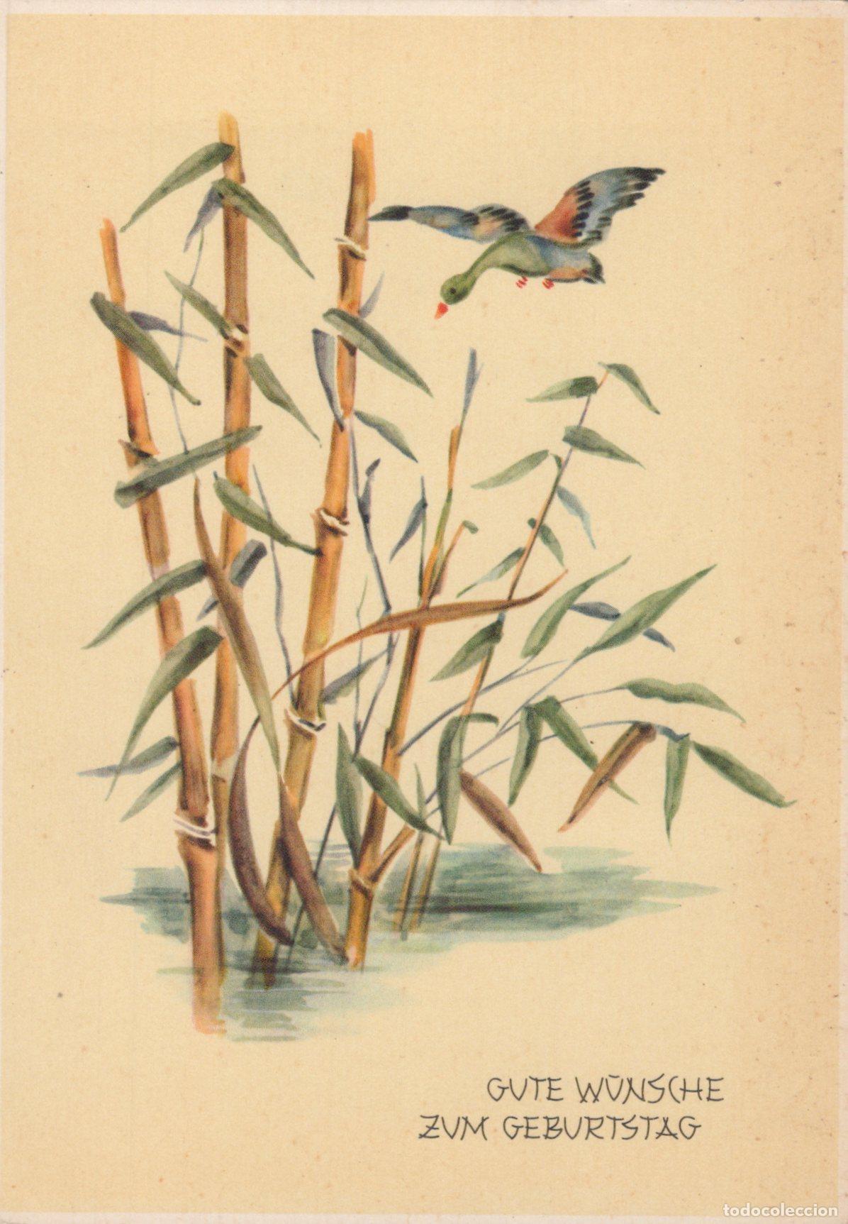 Postcards: Germany A Duck Flying Over Bamboo Stalks in Water With A German Unposted *YAS550