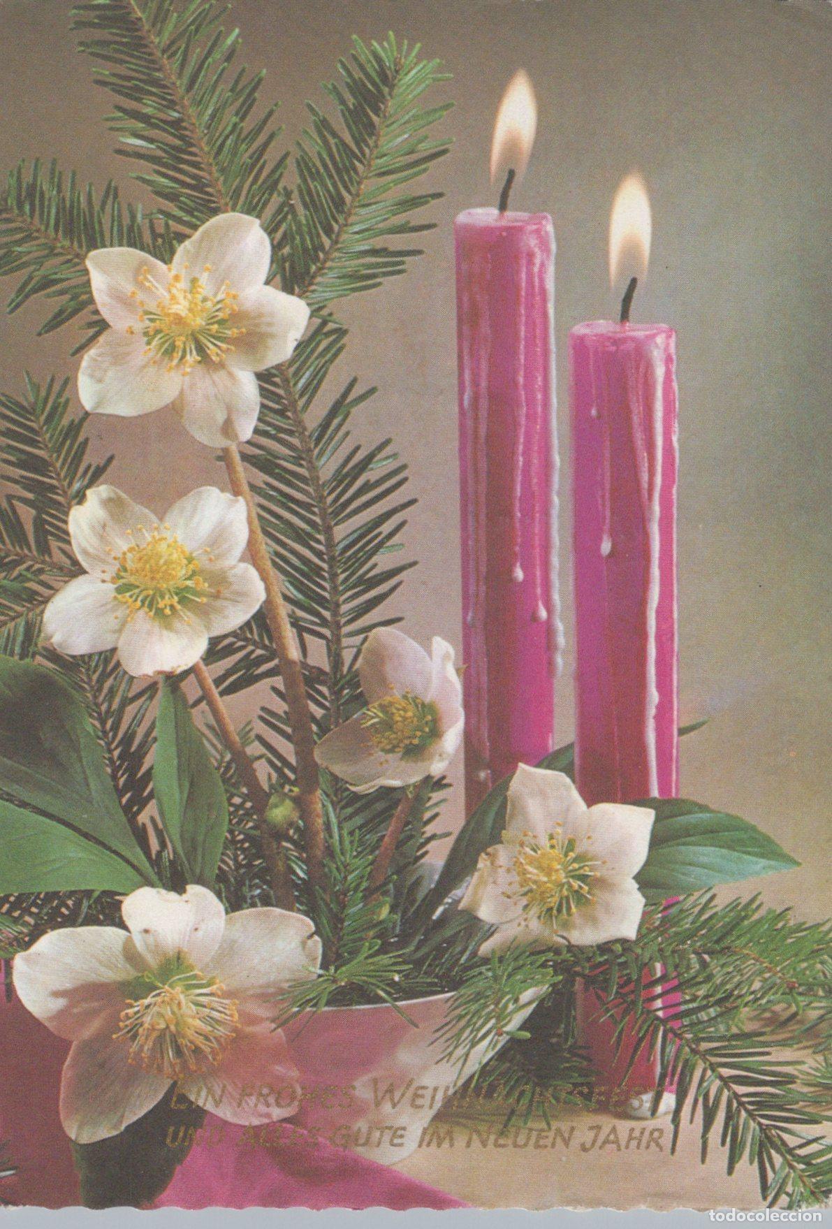 Postcards: Germany Berlin Christmas Rose Flowers and Two Pink Candles Frohes *YAS537