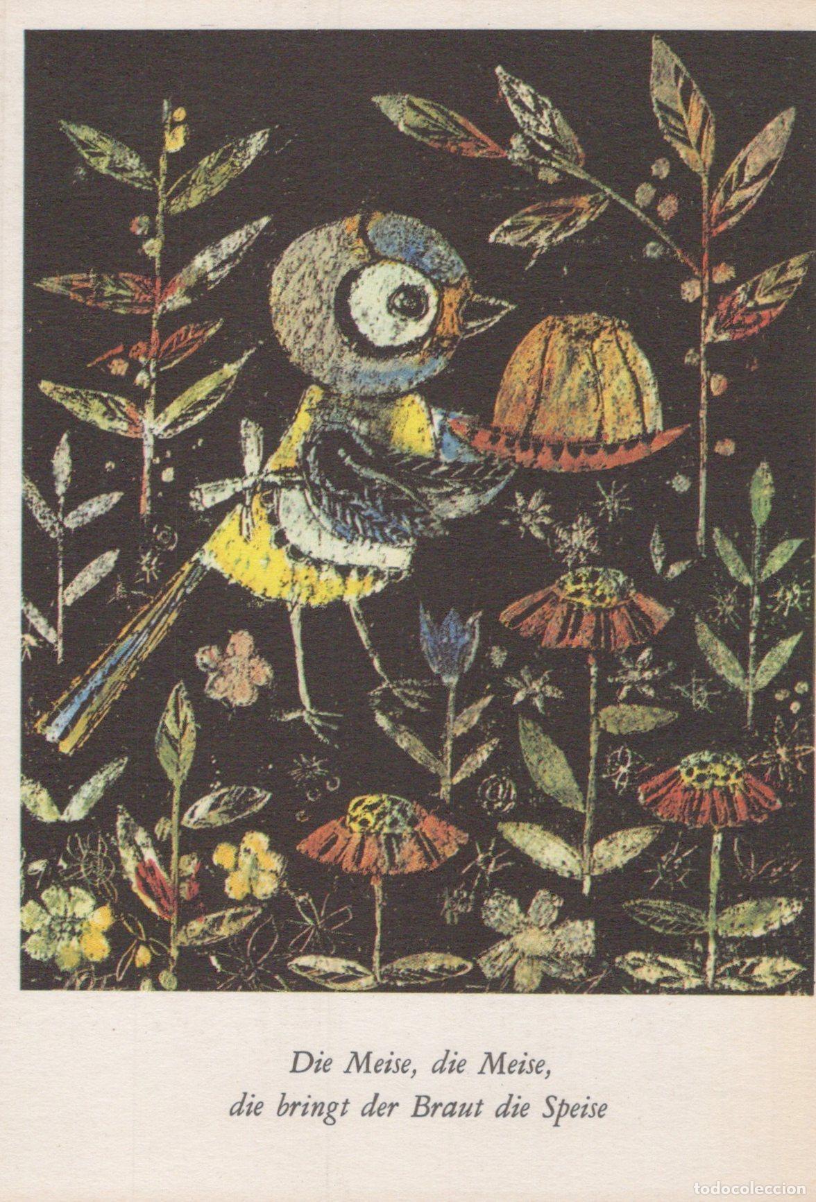 Cartes Postales: Germany Reichenbach Vogtl Art Titmouse Bird With Hat and Unposted *YAS448