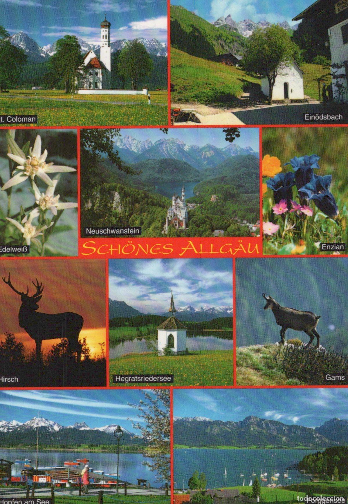 Cartoline: Germany Allg&auml;u Multi View Neuschwanstein St Coloman Edelweiss Deer Lake *YAS493
