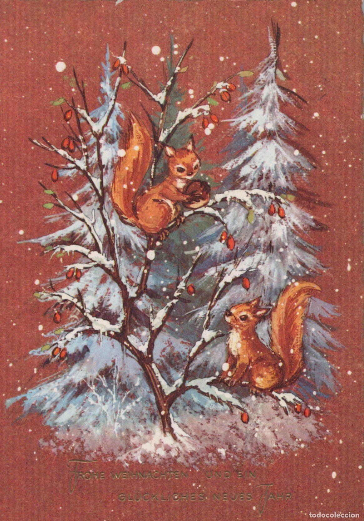 Cartoline: Germany Berlin Christmas Card With Two Squirrels in Snowy Winter Forest *YAS503