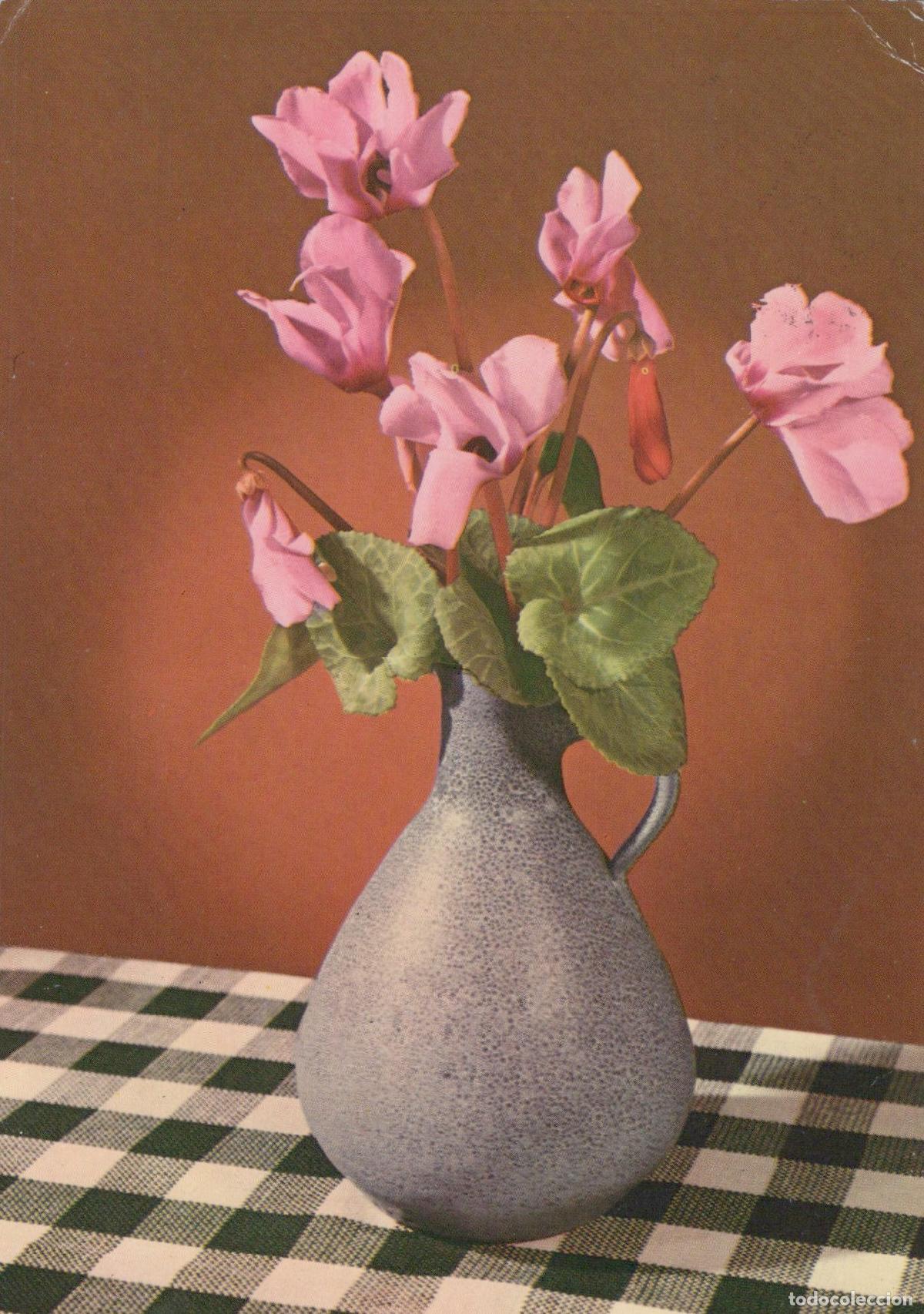 Postkarten: Germany Berlin Pink Cyclamen Flowers in Vase On Checkered Tablecloth *YAS616