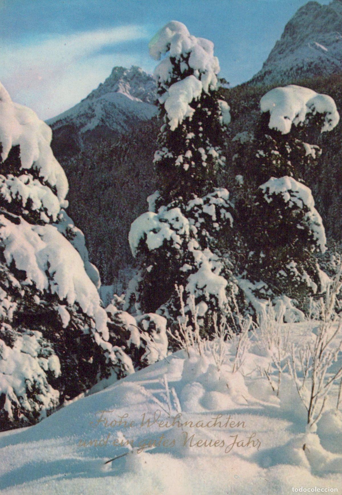 Cartoline: Germany Garmisch Partenkirchen Snowy Mountain Landscape Winter Forest *YAS621