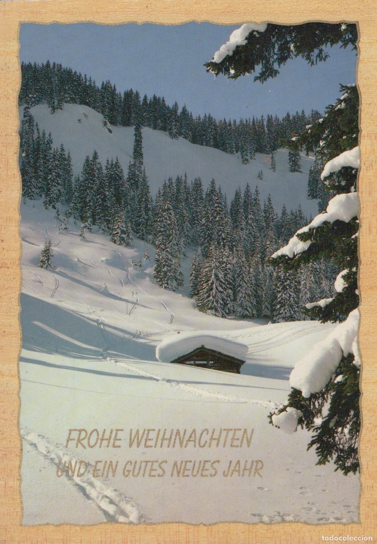 Cartoline: Germany Potsdam Winter Wonderland Snowy Mountain Landscape With Cabin *YAS513