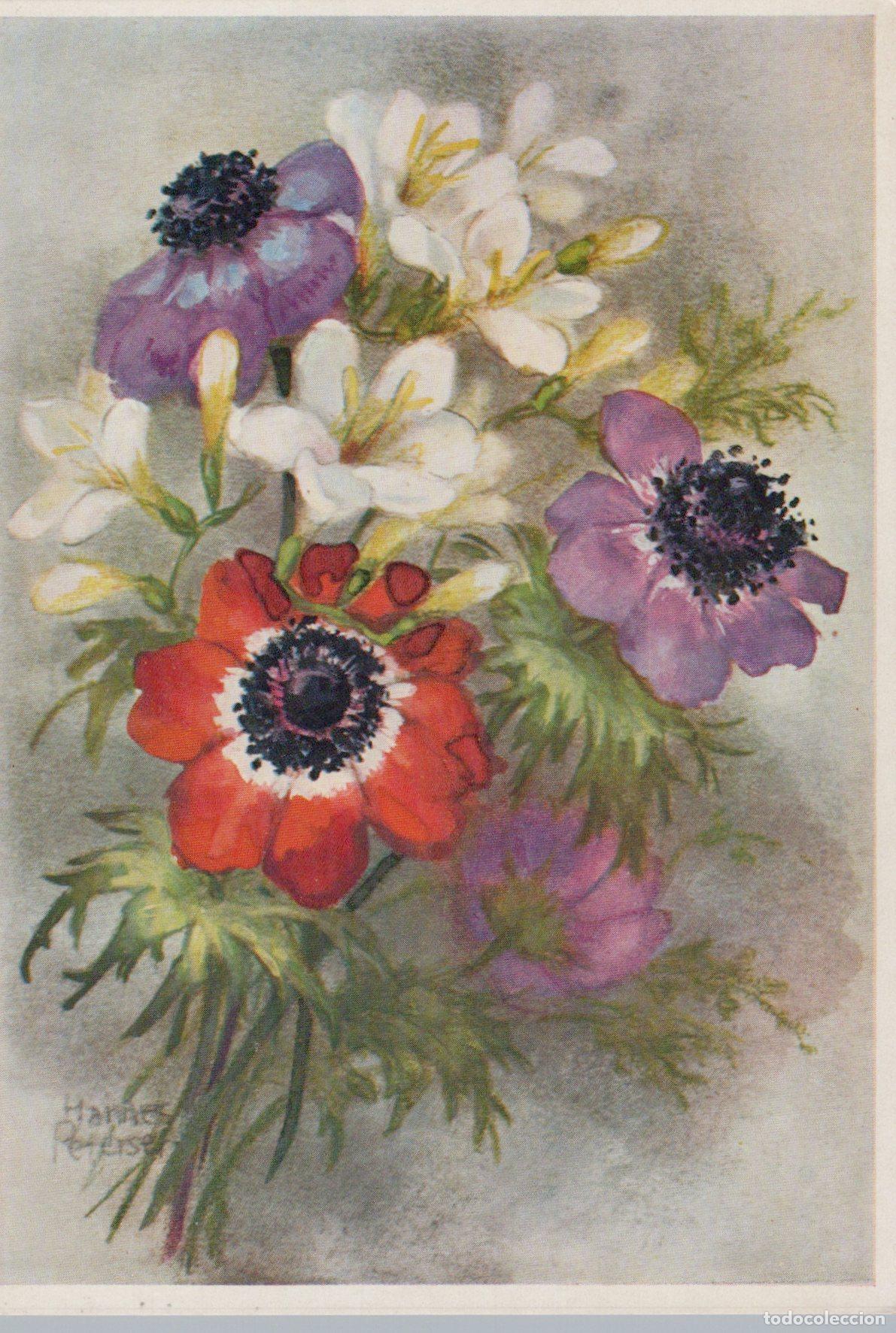 Cartoline: Germany Starnberg Hannes Petersen Anemones White Flowers Floral Unposted *YAS538