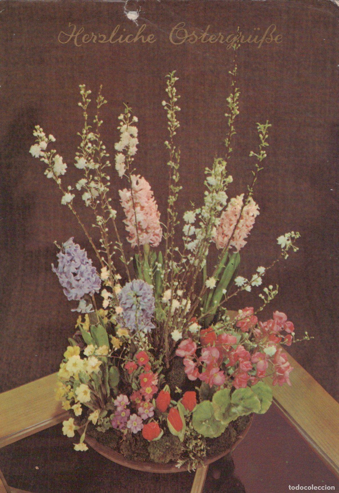 Cartoline: Germany Weiden Easter Greetings Floral Arrangement Hyacinths Primroses *YAS548