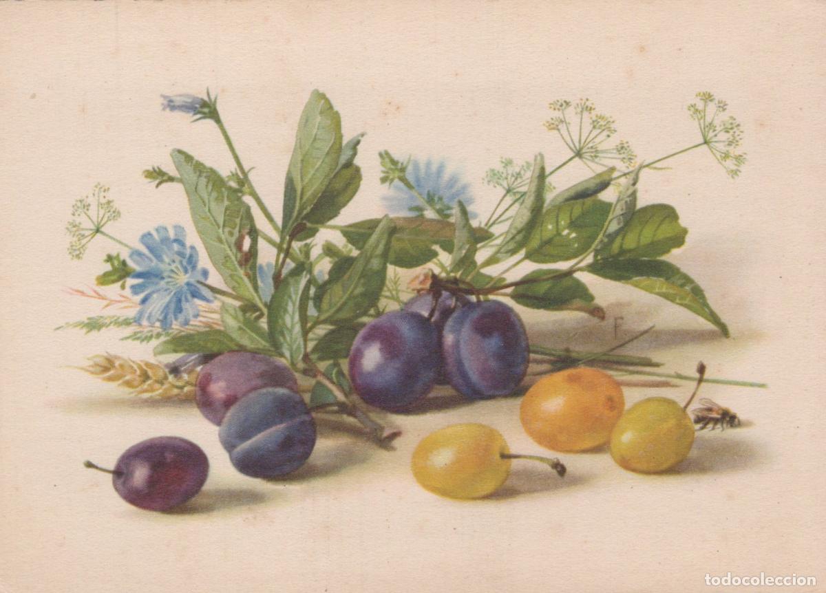 Cartoline: Germany Dresden Still Life With Plums Chicory Flowers and A Bee Unposted *YAS681