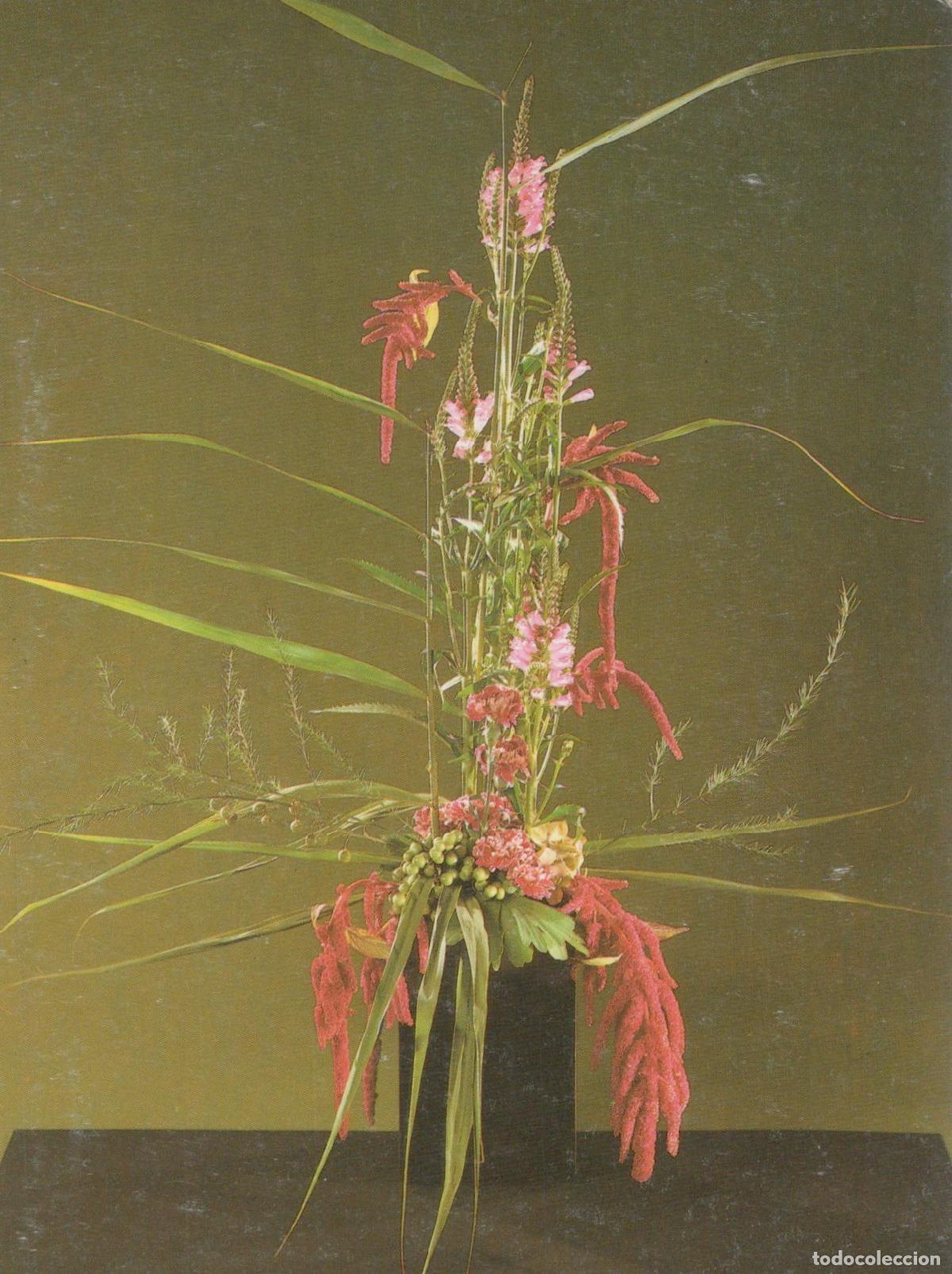 Cartes Postales: Physostegia With Amaranthus Floral Arrangement Unposted *YAS578