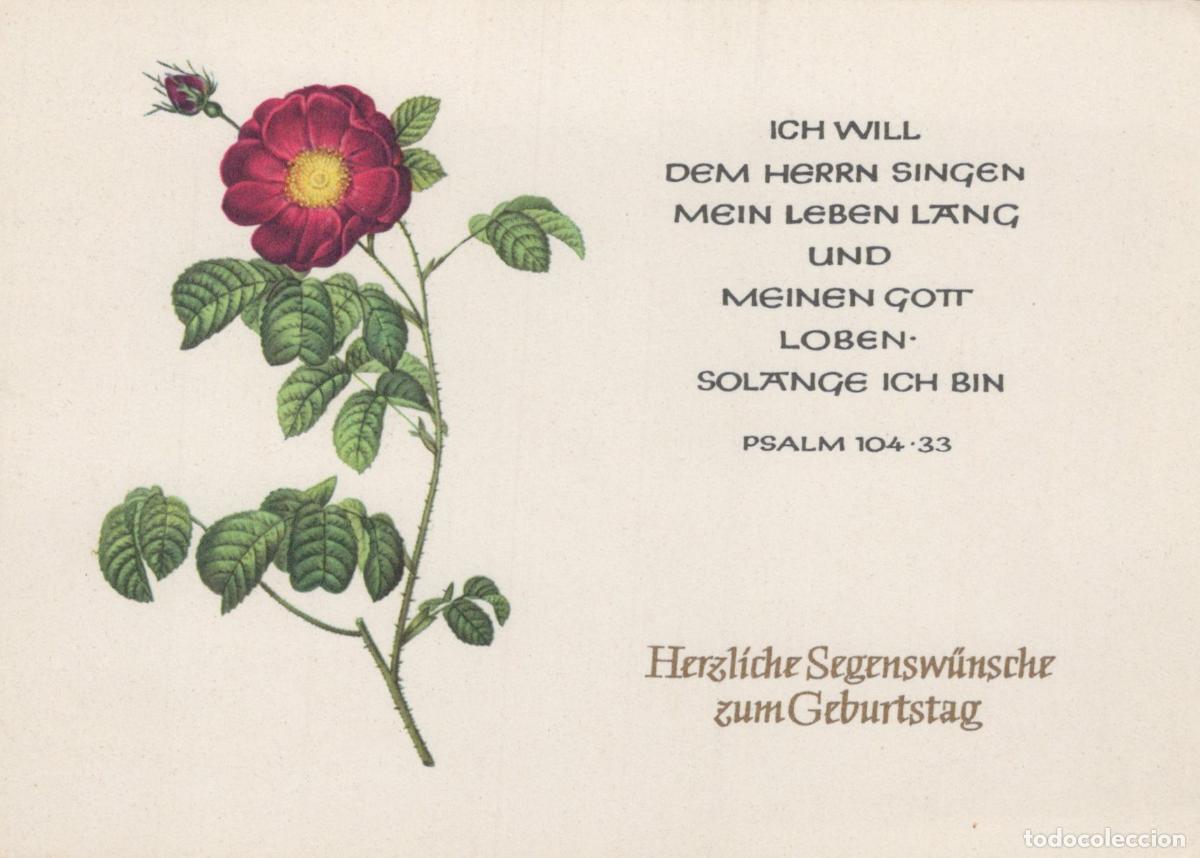 Postcards: Germany Karl Marx Stadt Redoute Rose Botanical Art Psalm 104 33 Unposted *YAS741