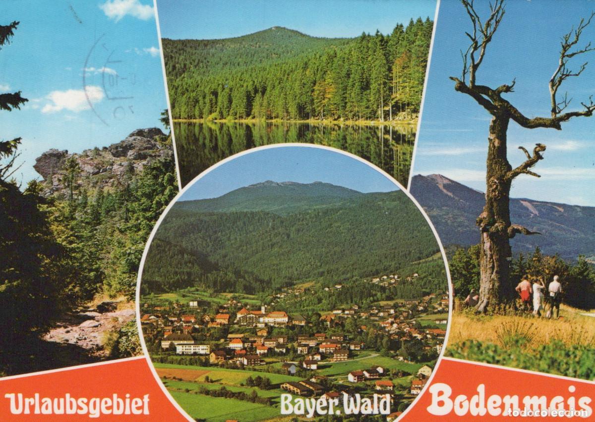 Cartes Postales: Germany Bodenmais Bayerischer Wald Multi View Lake Forest Village Tree *YAS746