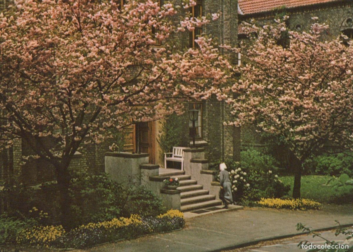 Postales: Germany Bielefeld Bethel Mutterhaus Sarepta Spring Blossoms Unposted *YAS773