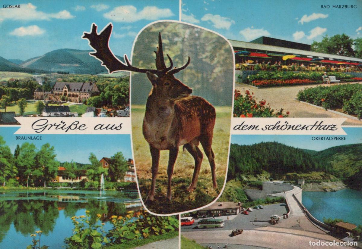 Cartoline: Germany Goslar Multi View Bad Harzburg Braunlage Okertalsperre Deer *YAS837