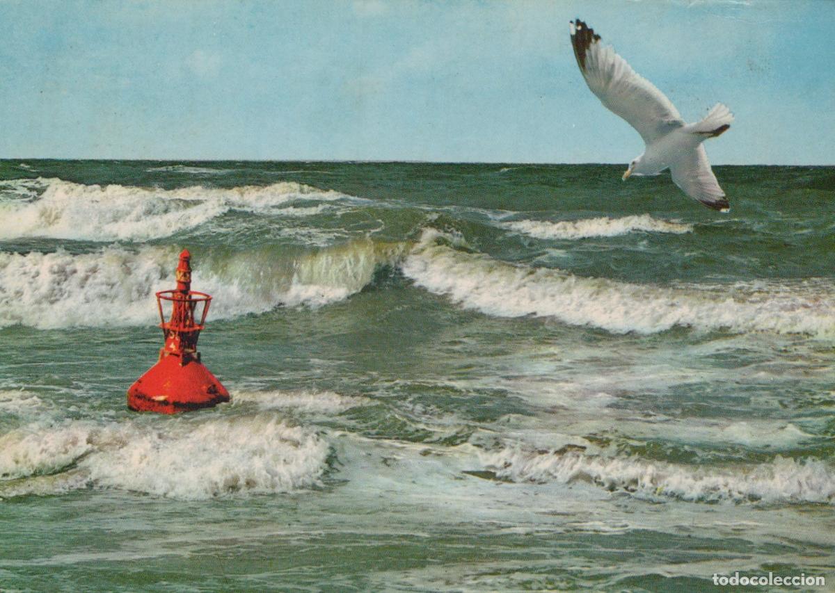 Postcards: Germany Heiligenhafen Baltic Sea Buoy and Seagull Flying Over Waves *YAS869