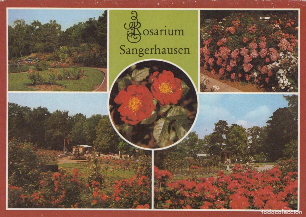 Postcards: Germany Sangerhausen Rosarium Largest Rose Collection in the Unposted *YAS928