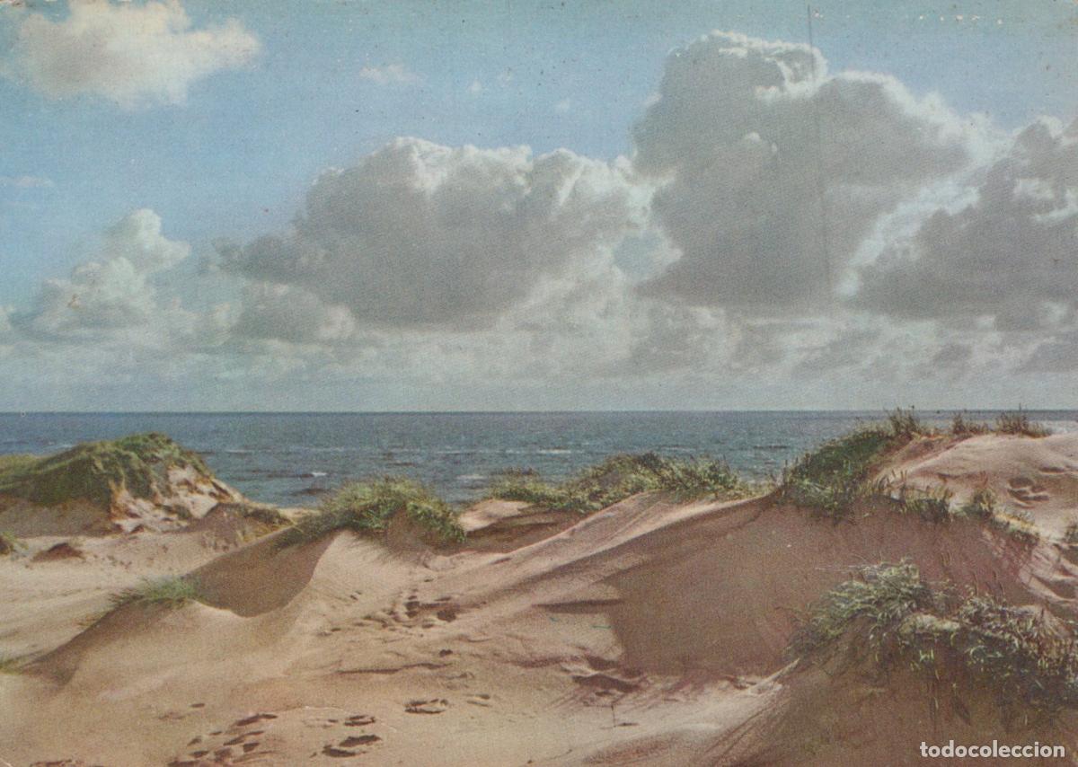 Cartoline: Germany Sylt Nordseeinsel Dunes and Sea Landscape Unposted *YAS960