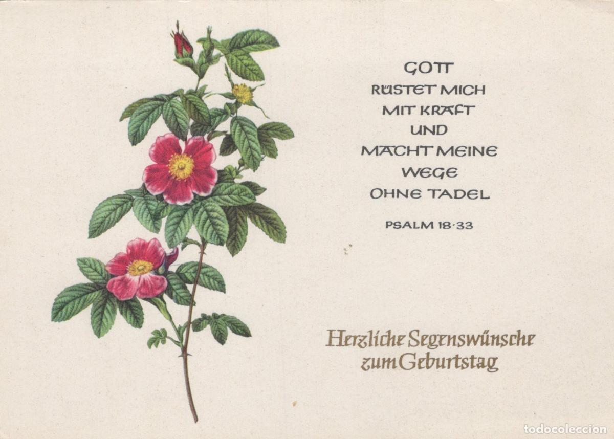Postales: Germany Berlin Botanical Art Wild Rose Rosa Cinnamomea Flore Unposted *YAS961
