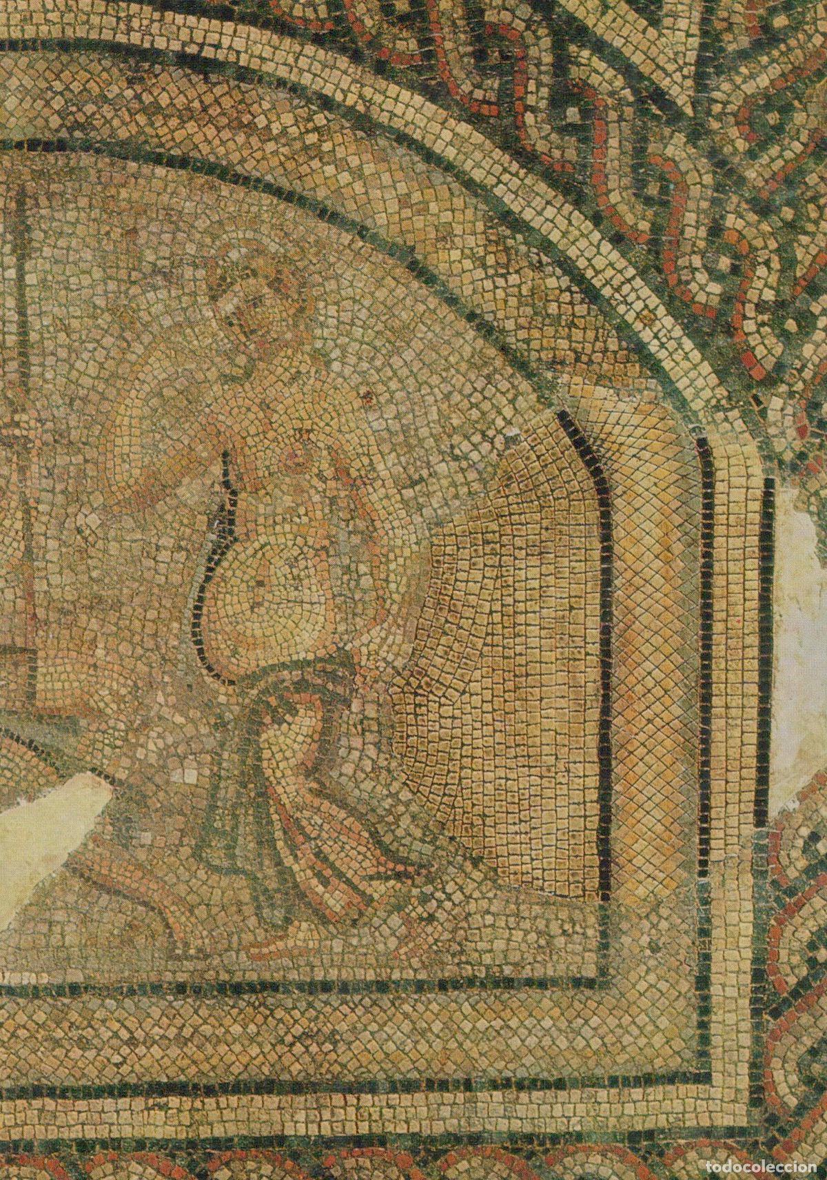 Cartoline: Germany Cologne Roman Goddess Venus Mosaic Fragment R&ouml;misch Germanisches *YAT149