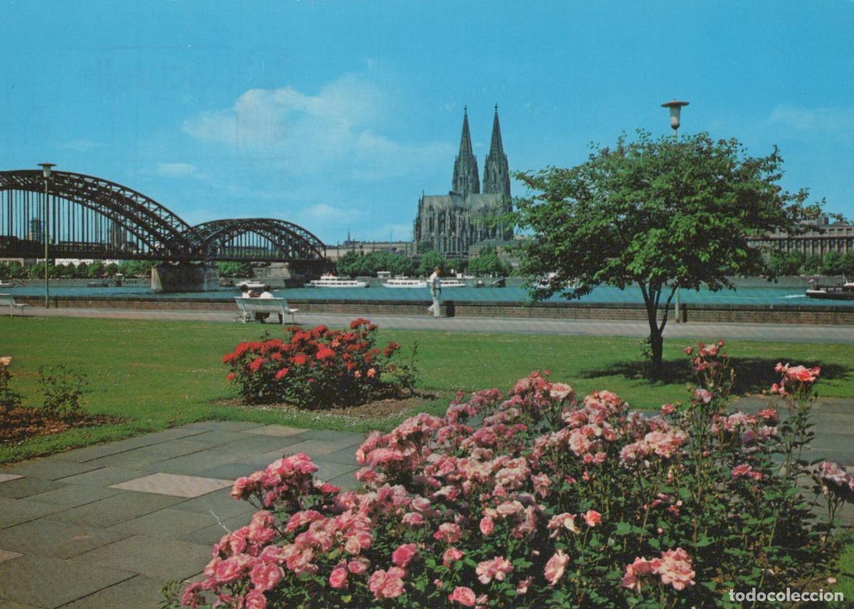 Cartoline: Germany Cologne Cathedral and Hohenzollern Bridge From Rheinpark *YAT856