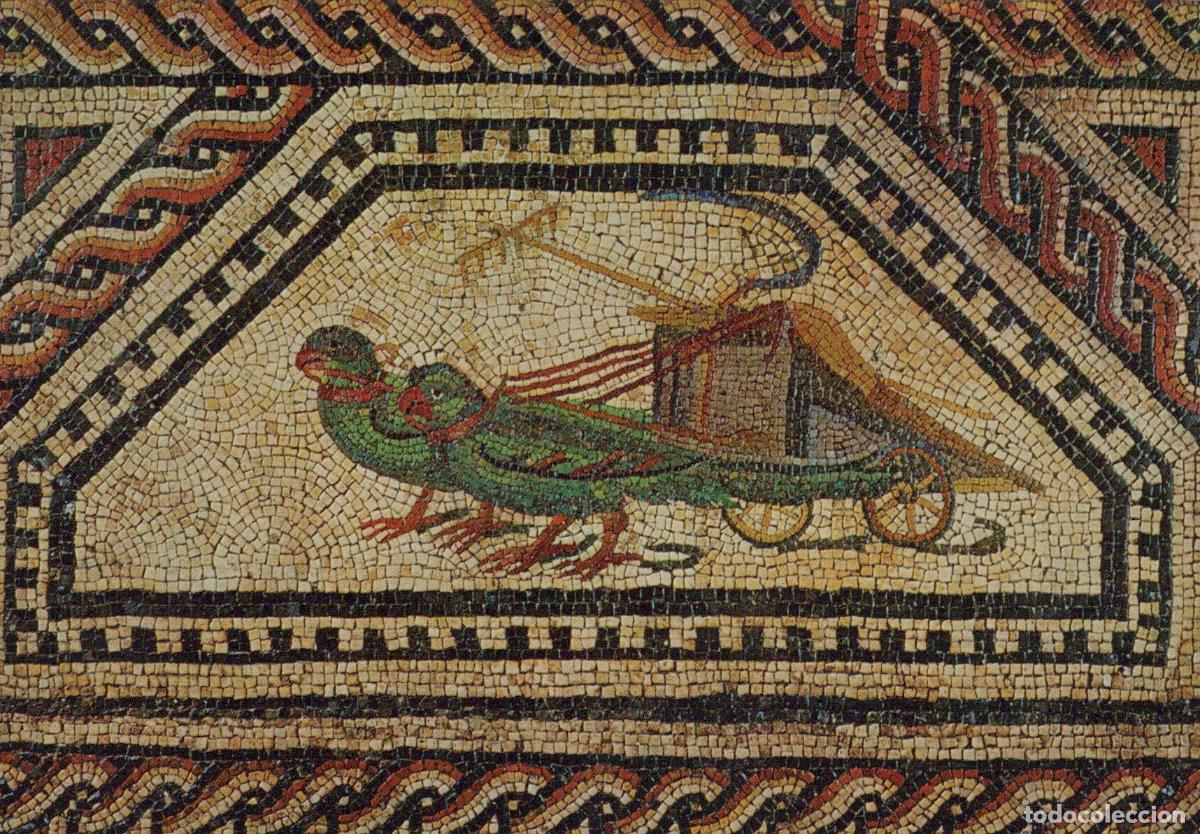 Cartoline: Germany Cologne Roman Germanic Museum Dionysos Mosaic Parrot Unposted *YAT881